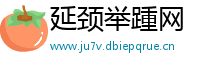 延颈举踵网